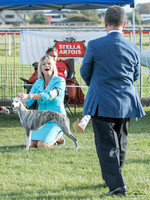 Wairoa Kennel Association