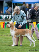 KBP15181