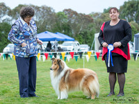 Best in Show