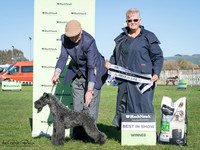 Best in Show