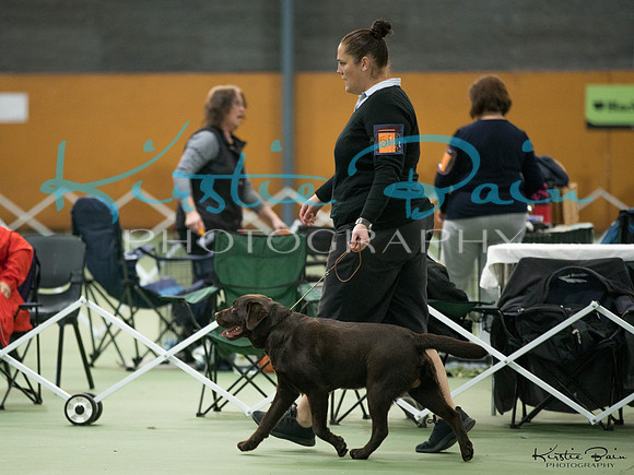KBP17815