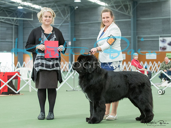 KBP18888