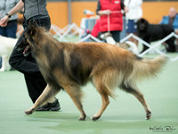 KBP18929