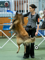 PM Show
