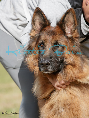 KBP21279