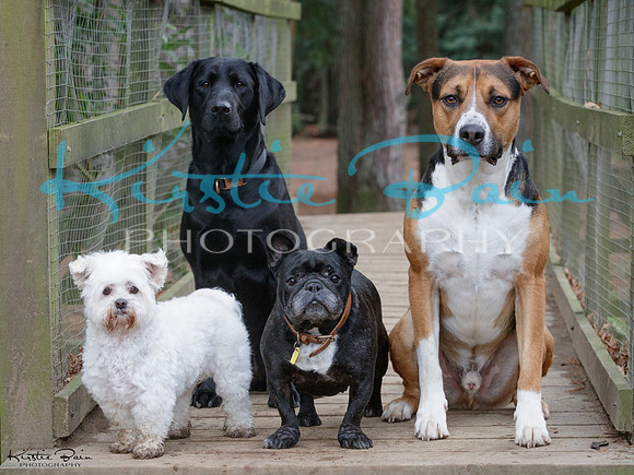 KB013946