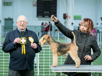 Terriers