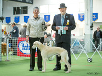KBP10041