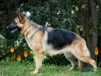 KBP10957