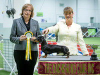 KBP11044