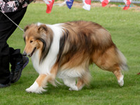 KB012386