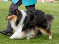 KB012390