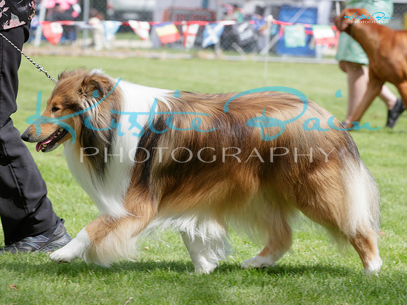 KB013360