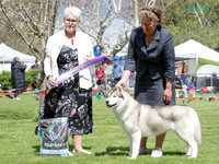 Best in Show