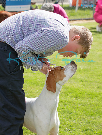 KB013655