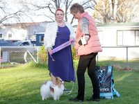 Best in Show