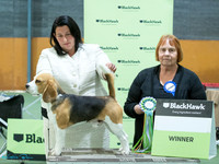 KBP11866