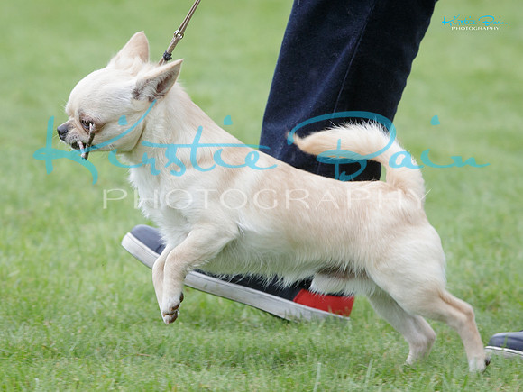 KB014828