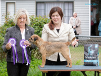 Best in Show