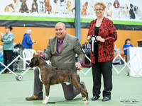KBP13970