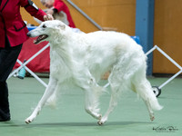 KBP14909