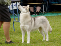 KB015497