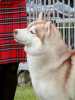 KB015539