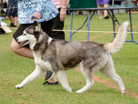 KB015508