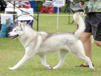 KB015547
