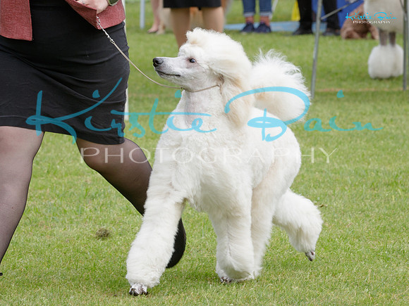 KB015884