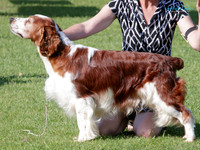 KB016381