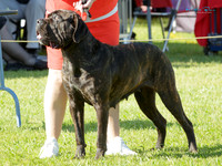 KB016959