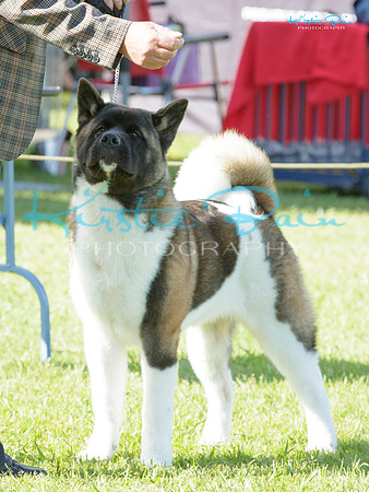 KB016961