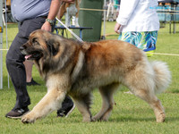 KB017029