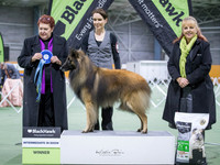 KBP17703