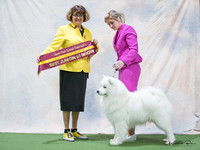 KBP10443