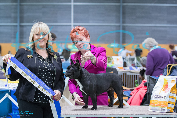 KBP11036