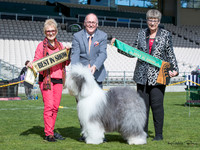 Best in Show