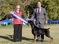 Best in Show