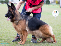 KBP18356