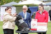 KB018392