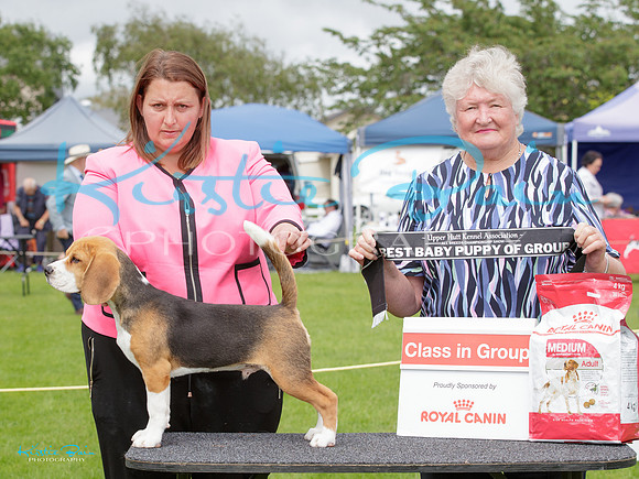 KB010126