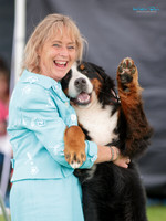 Upper Hutt & Pencarrow Kennel Associations