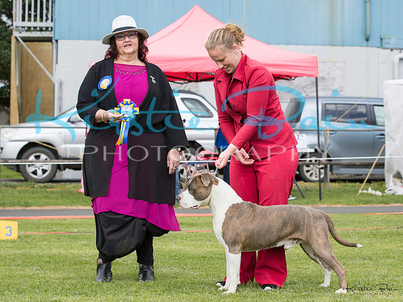KBP12449