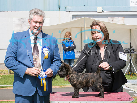 KBP11715