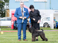 Terriers