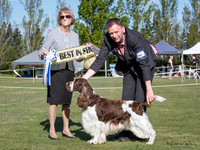 Best in Show