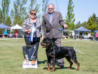 Best in Show