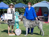 Best in Show