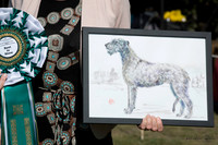 Irish Wolfhound Club